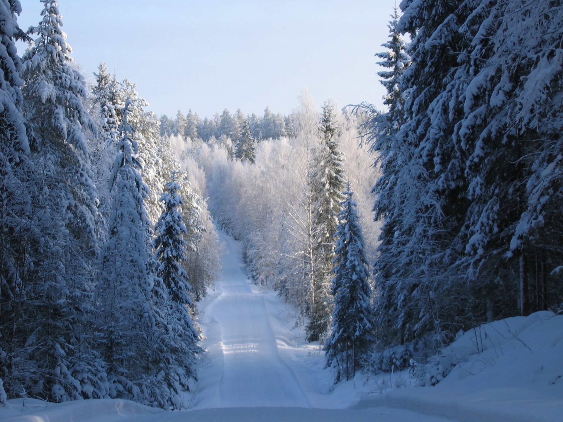 Riistaveden pitäjäraadin terveiset Koillis-Savossa 25.11.