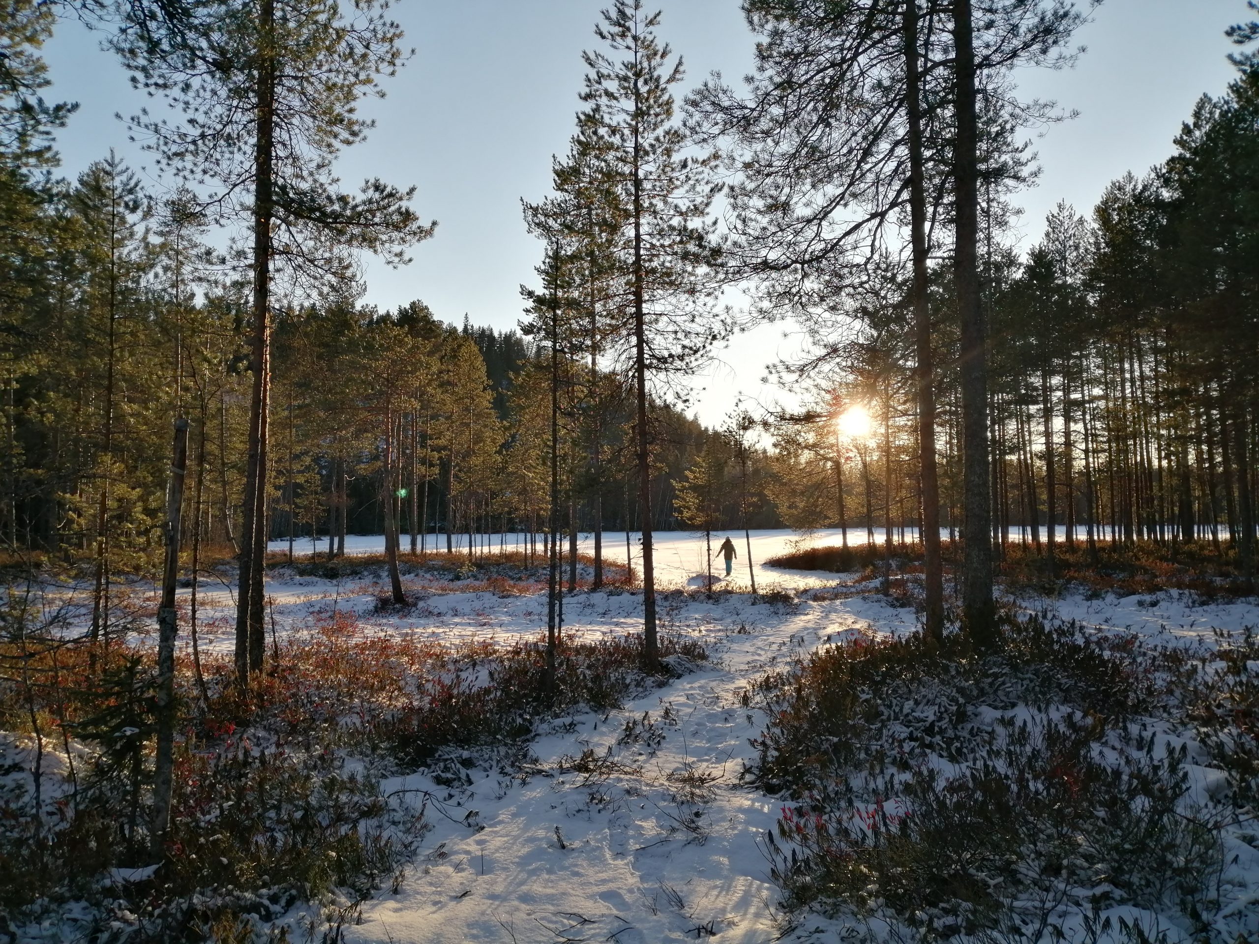 Kuva Hannele Heiskanen
