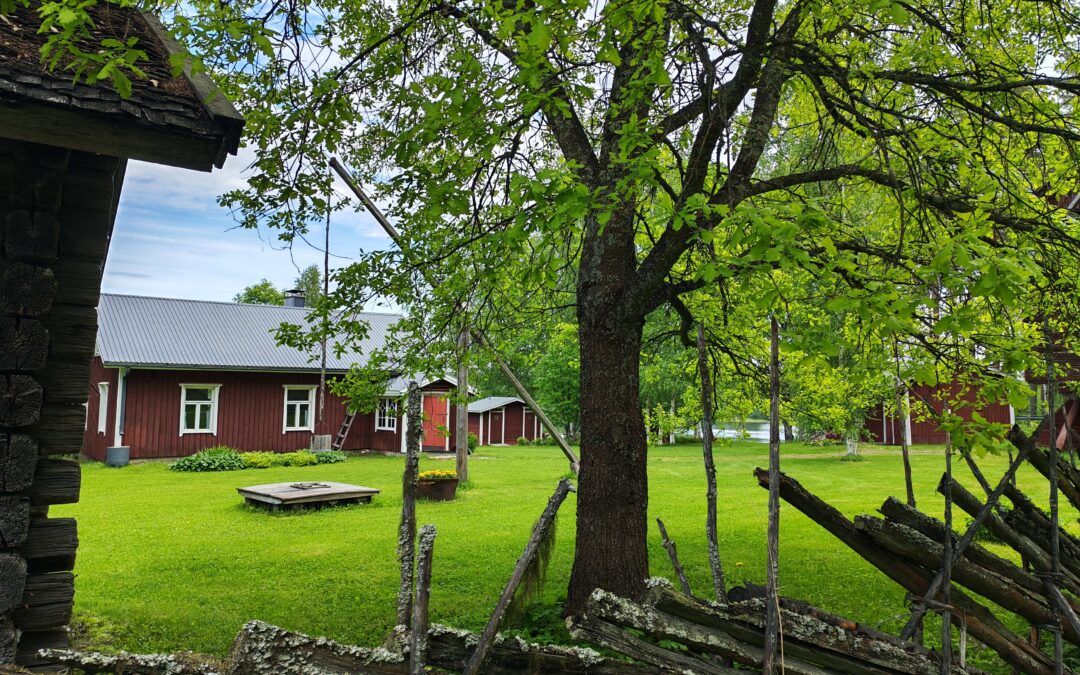 Riistaveden Perinnepäivä